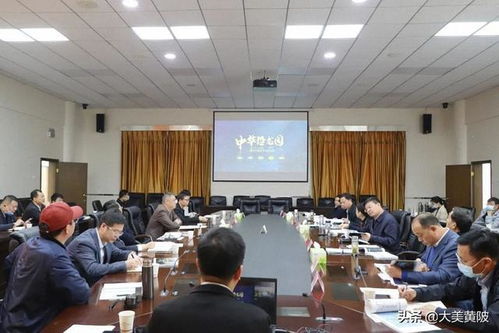 区领导专题听取武汉中华恐龙园旅游度假区项目设计方案，共绘文旅发展新蓝图